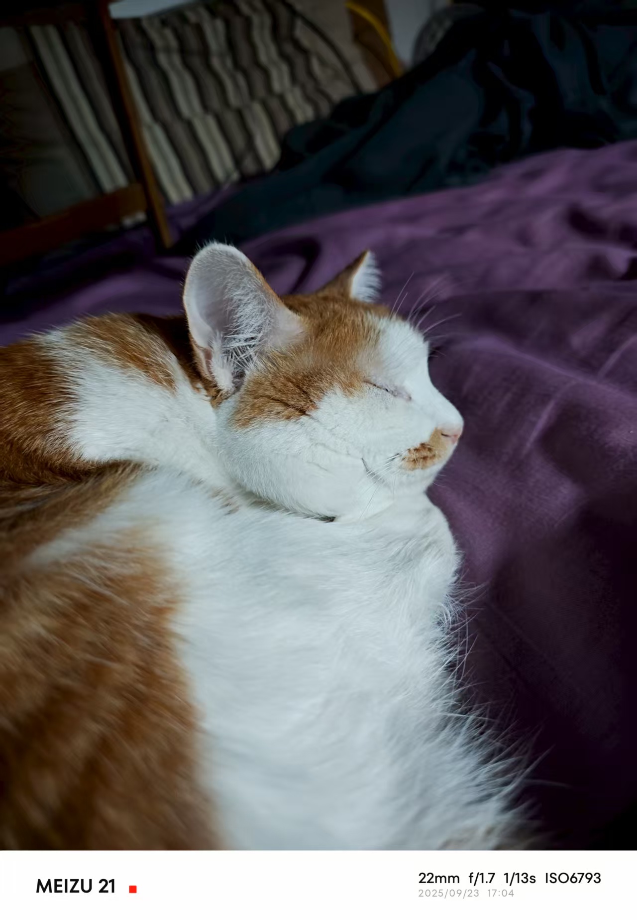 微信图片_20250925164938_21_100.jpg 微信图片_20250925164938_21_100.jpg