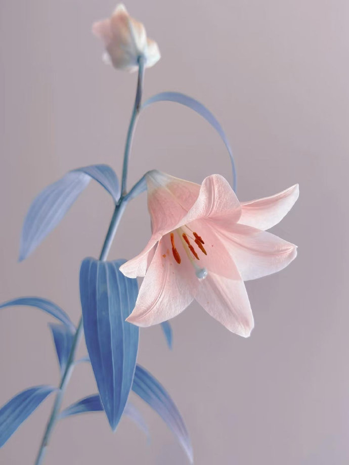 68100d100a54928906102b92c710b567.jpg 68100d100a54928906102b92c710b567.jpg