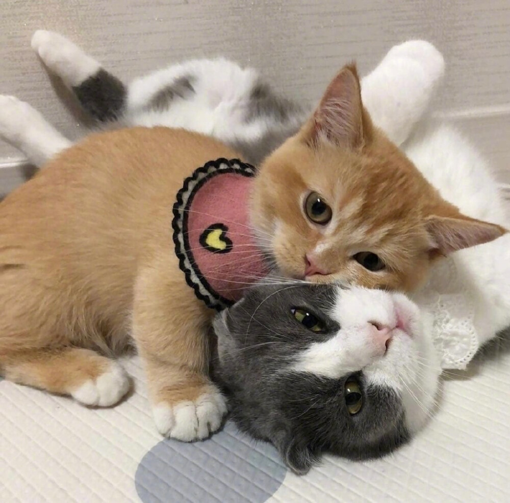 054c10baa0bc22b659ff6ed3228ed5c5.jpg 054c10baa0bc22b659ff6ed3228ed5c5.jpg