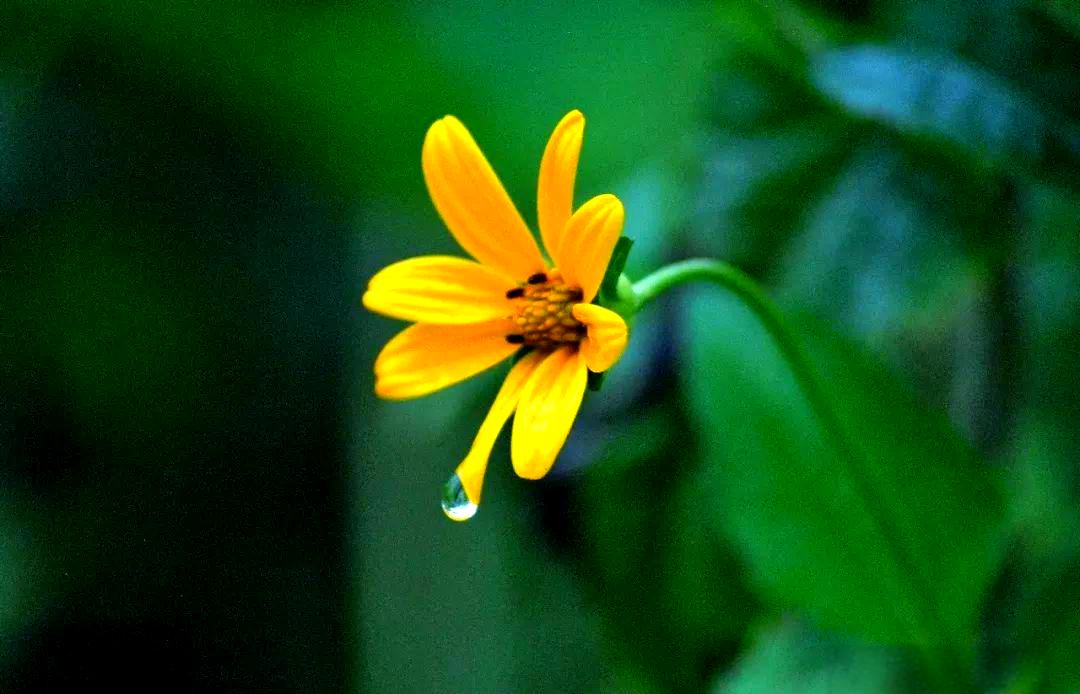 0a823cc3d9e41e5f18aa8f7bdba9ddab.jpeg 0a823cc3d9e41e5f18aa8f7bdba9ddab.jpeg