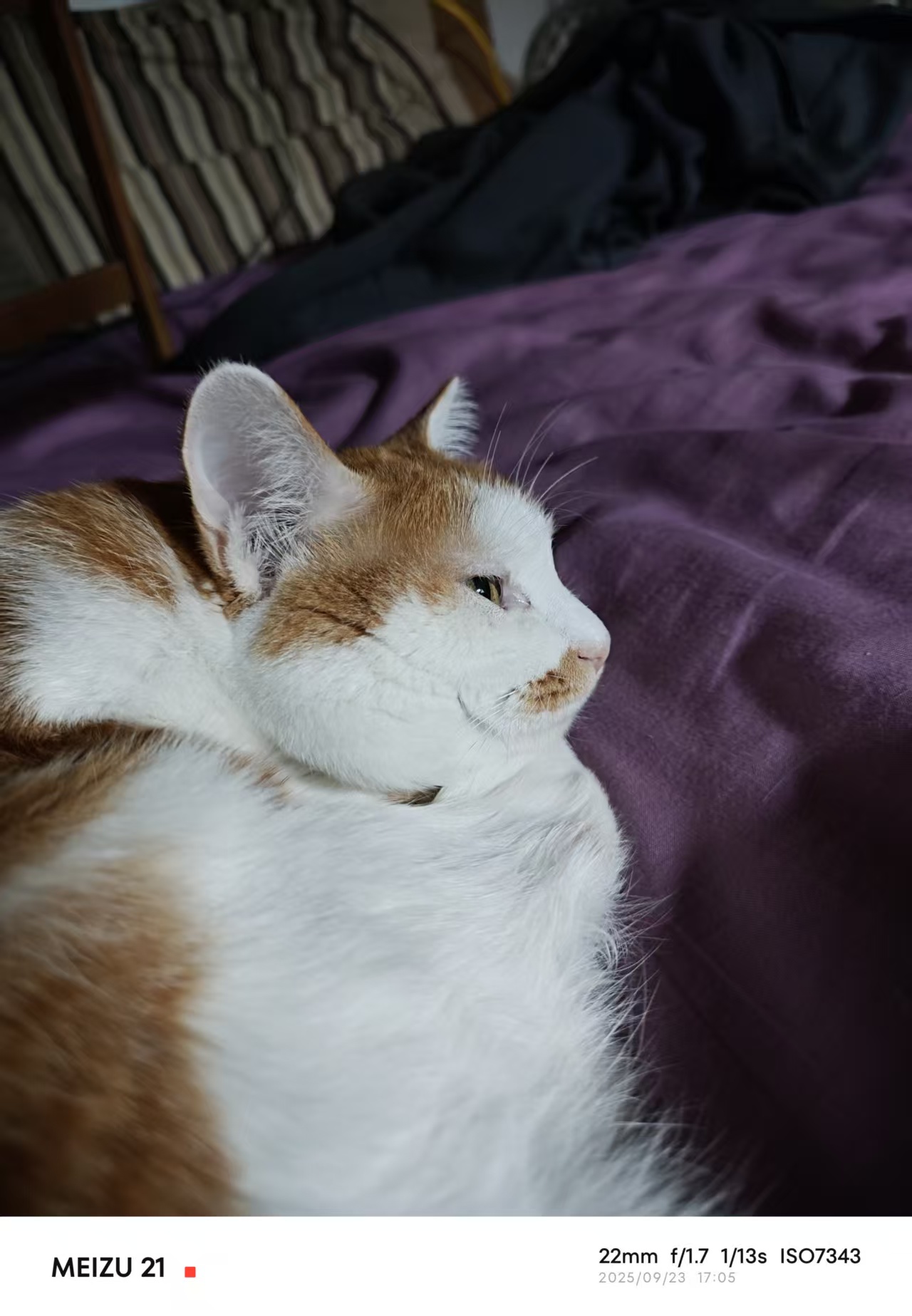 这里填写图片描述2