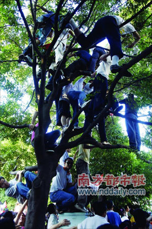 体育中心正门外,最后一棒火炬手王绮红将从这里进入体育中心,许多市民提前到场占位迎接火炬,路边的一棵树上爬满了人。