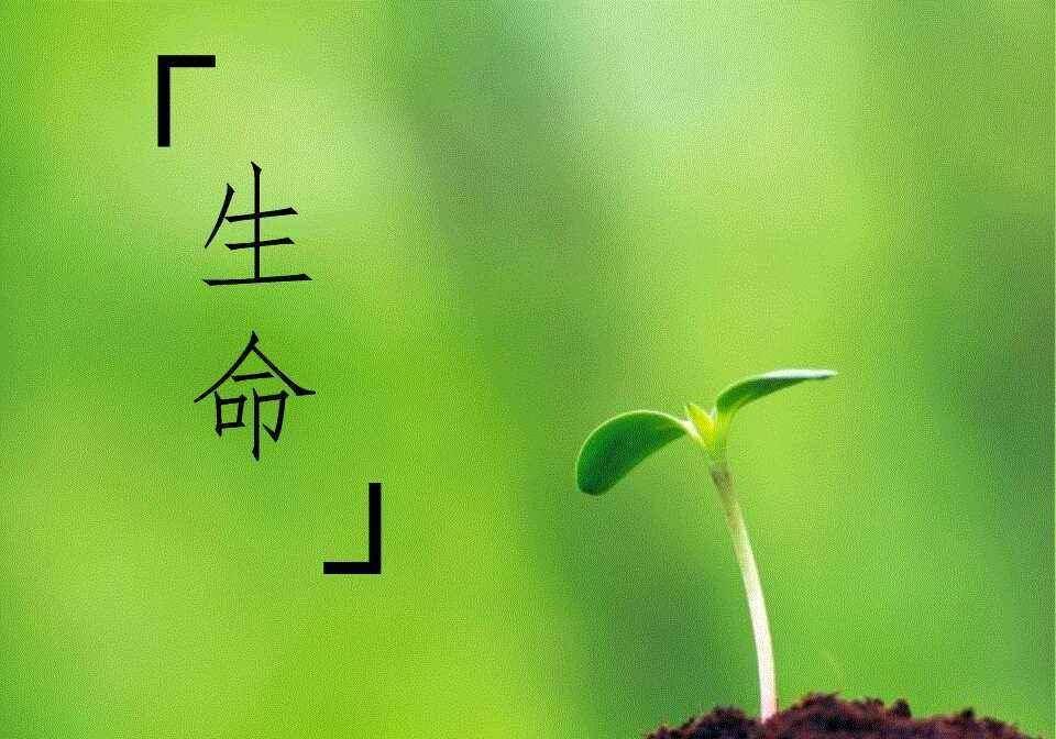 8258b616db24c24f9e9badf8d7d9a8e8.jpeg 8258b616db24c24f9e9badf8d7d9a8e8.jpeg