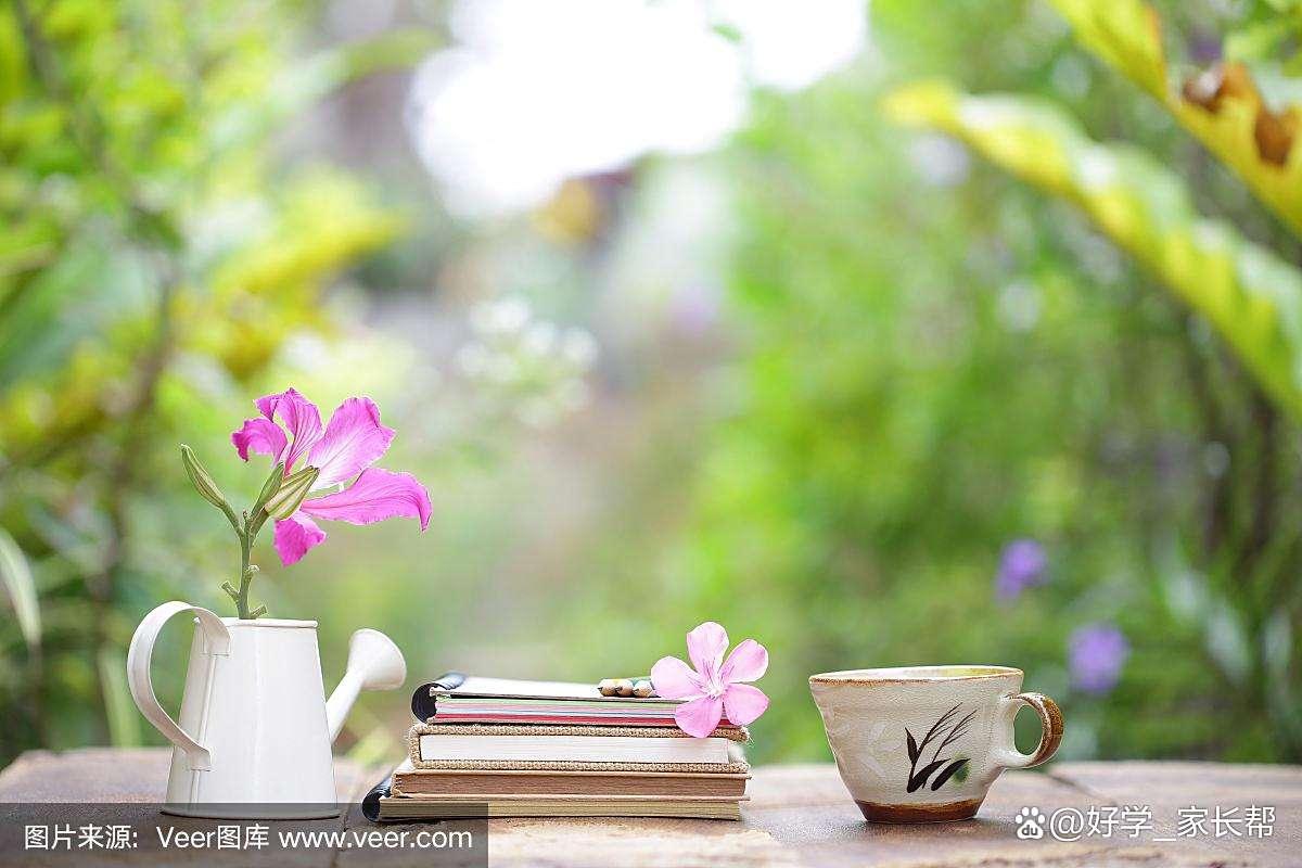 0b1b0ee5eadcf339343cf2662bb85ff7.jpeg 0b1b0ee5eadcf339343cf2662bb85ff7.jpeg