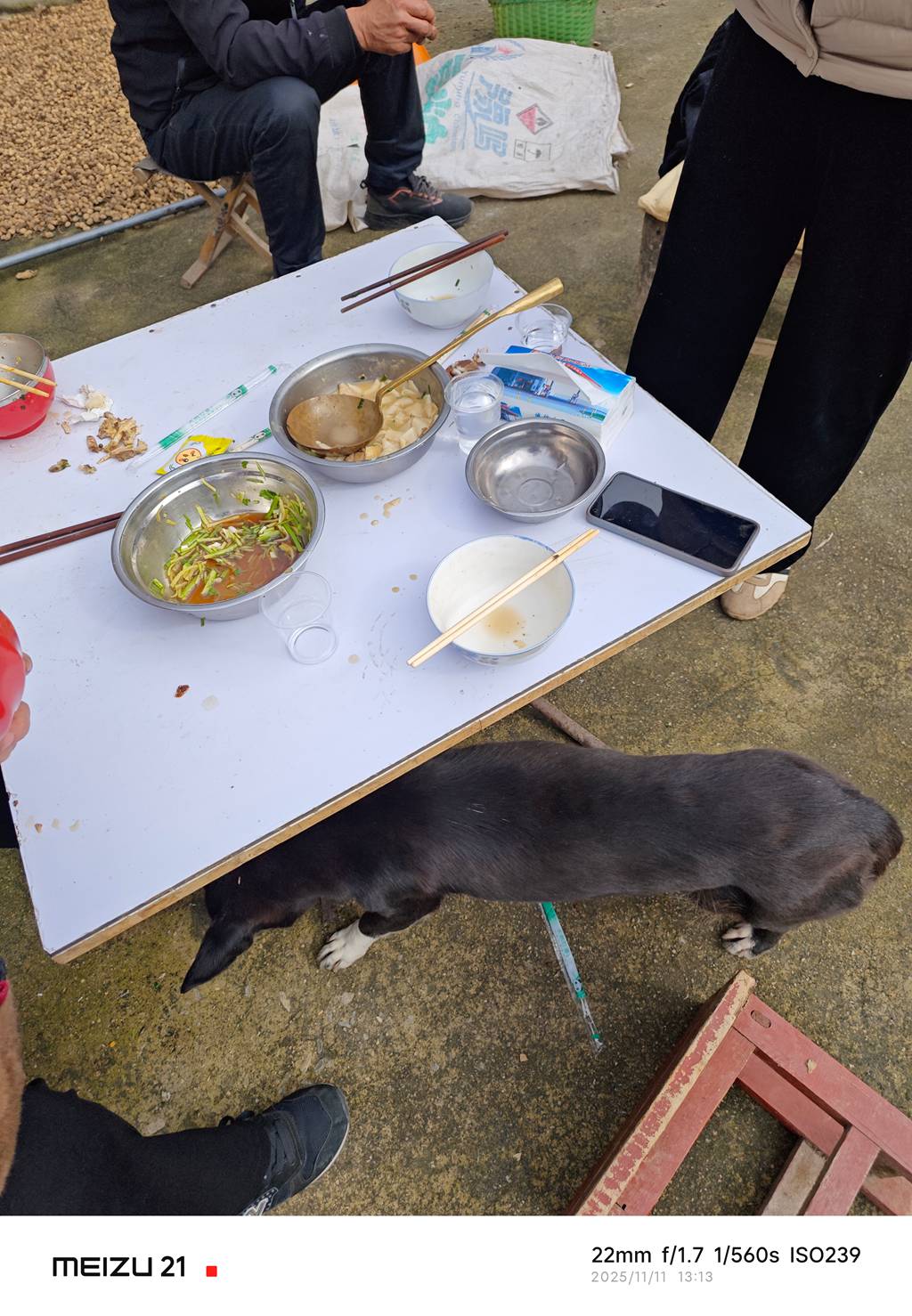 P20251111-131322.jpg