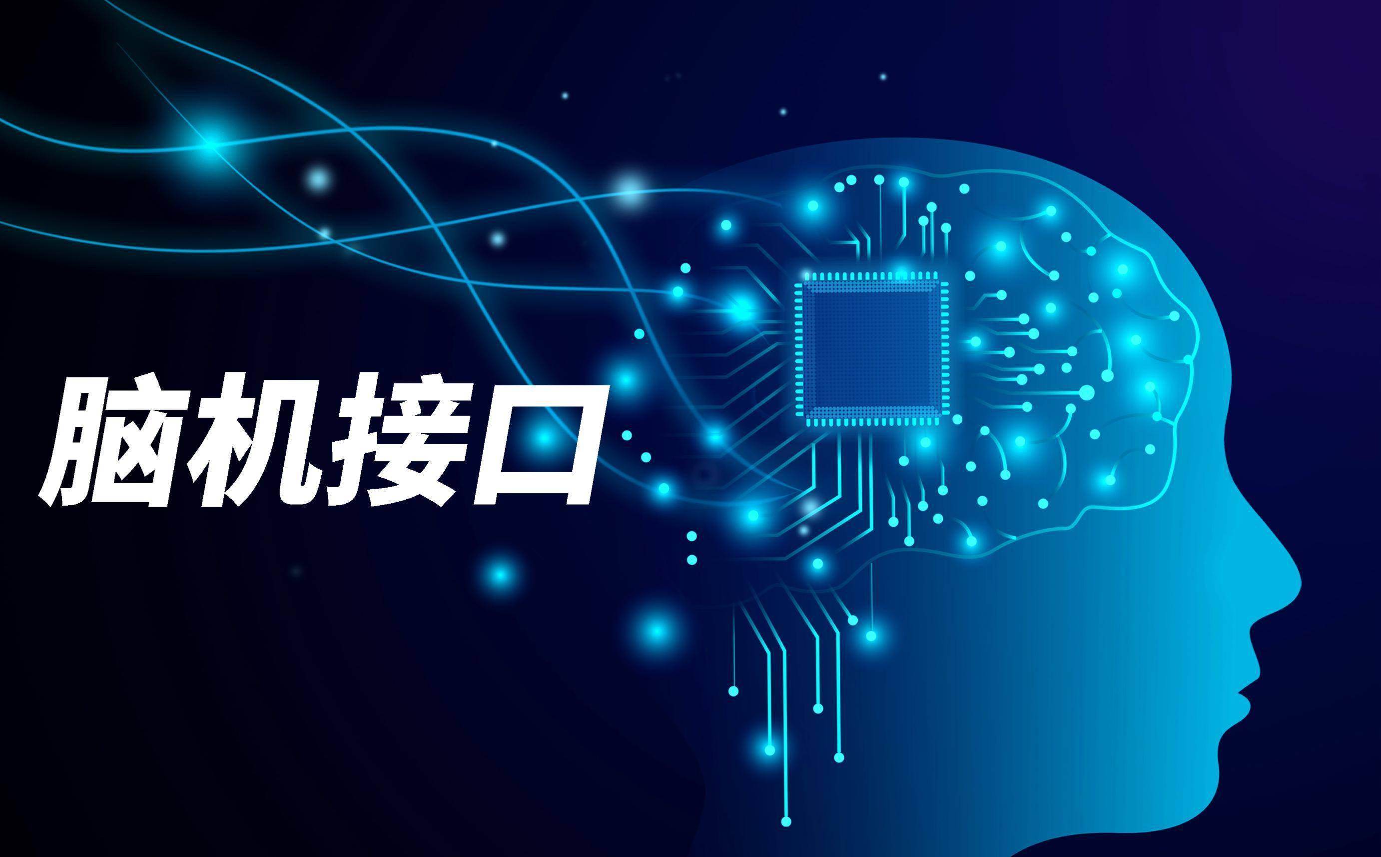 脑机接口相关图片