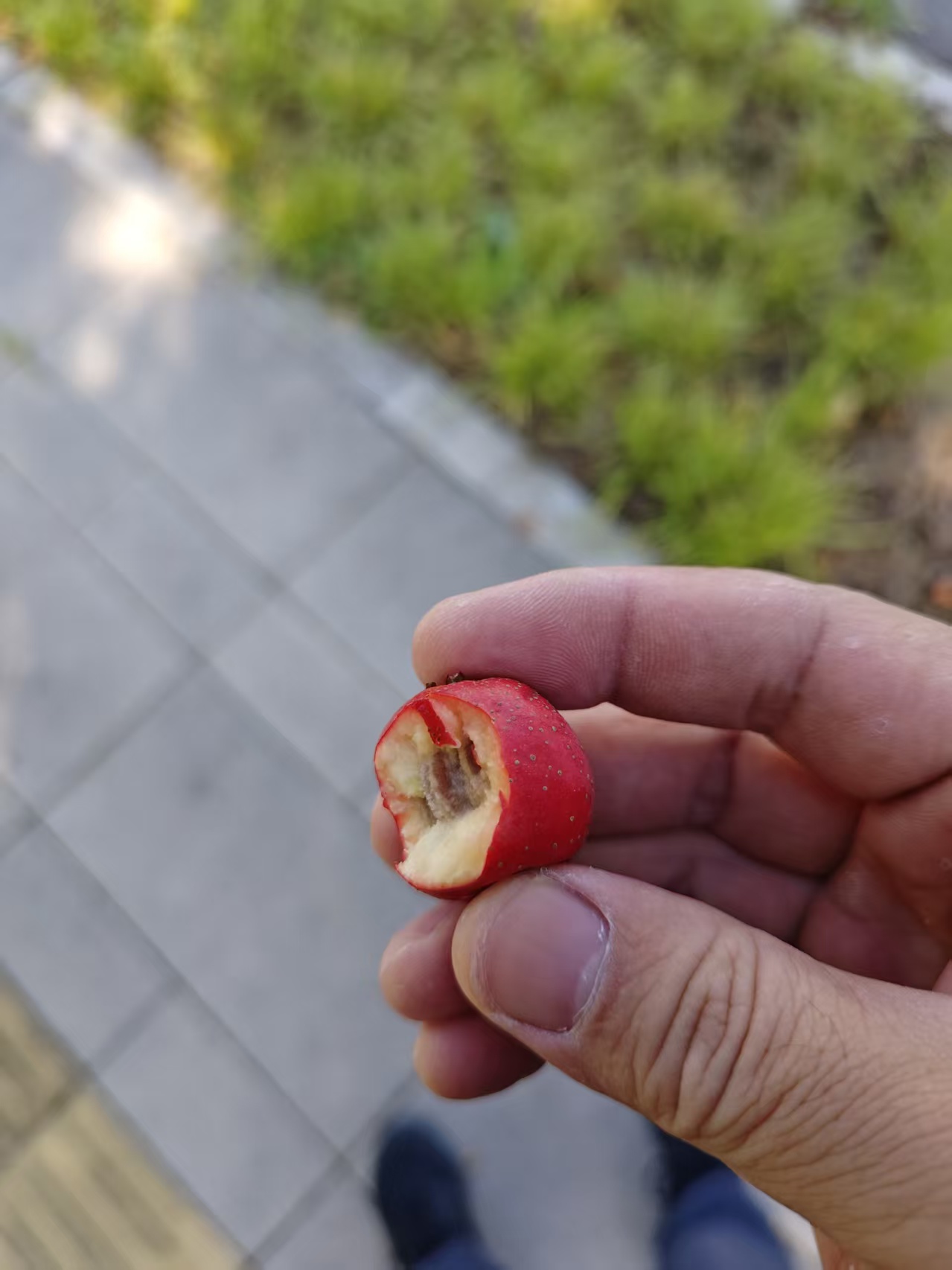 8.jpg